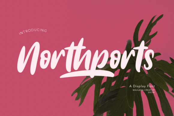 A Designer's Real-World Take on Northports