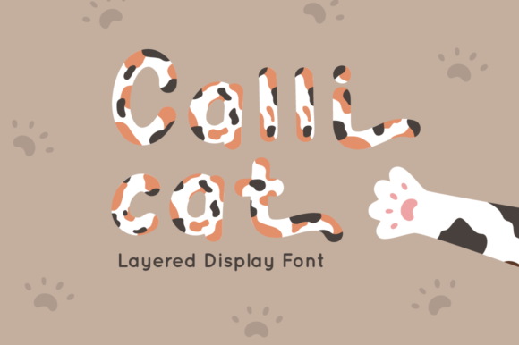Calli Cat Font Review: A Display Font for Modern Campaigns