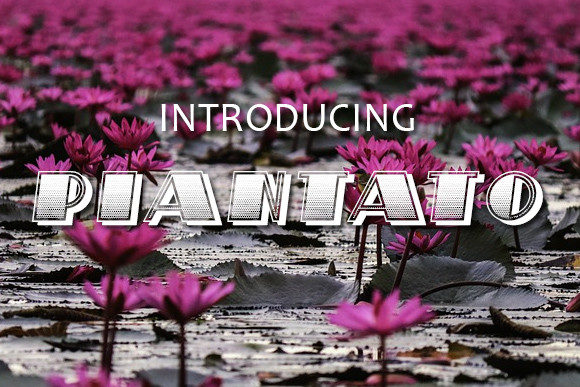 Piantato: The Bold Display Font for Campaigns That Need to Stand Out